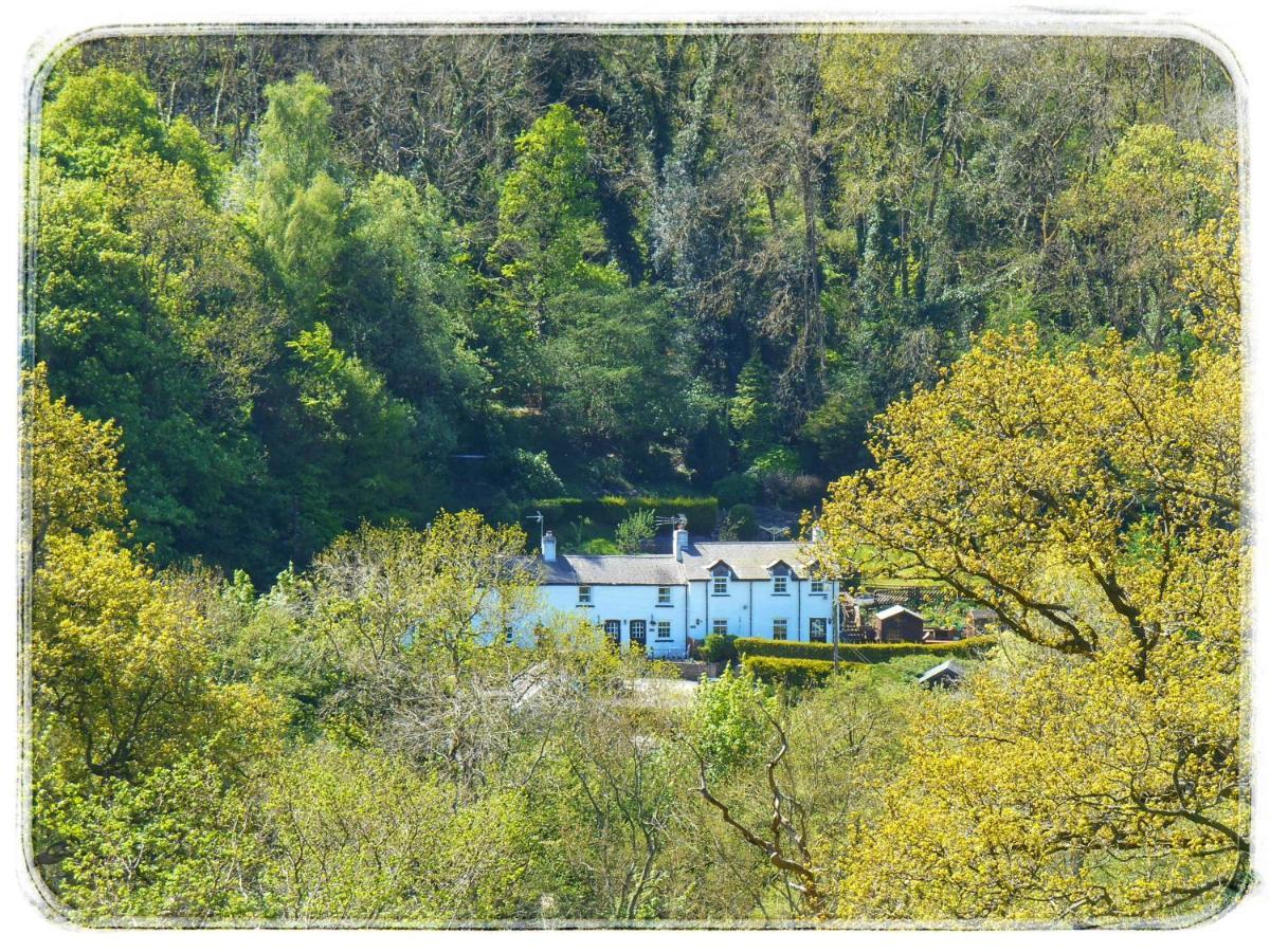 סנט אסף River Cottage מראה חיצוני תמונה